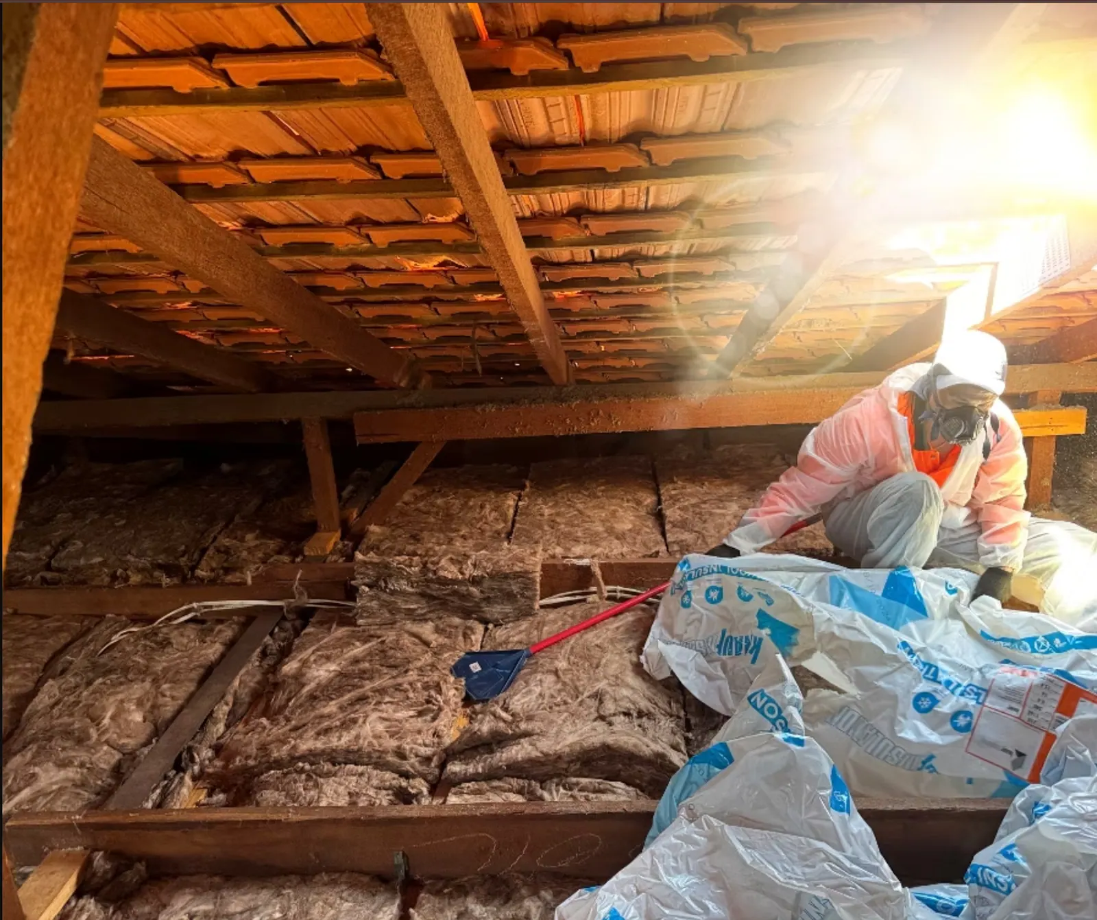 Ceiling Insulation